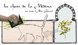 Le chat de la Medina D'Aline Lienard